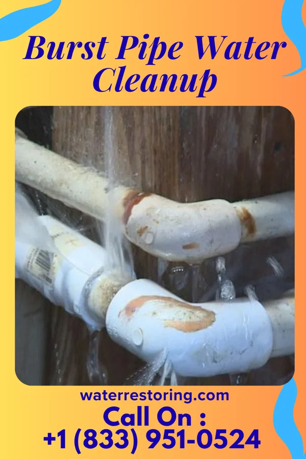 Burst Pipe Water Cleanup in Iron Gate, VA