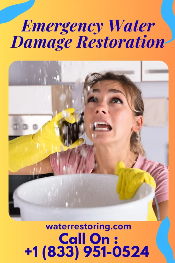 Emergency Water Damage Restoration in Iron Gate, VA