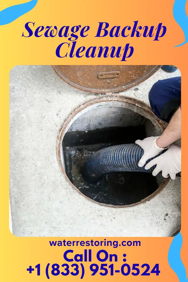 Sewage Backup Cleanup in Iron Gate, VA