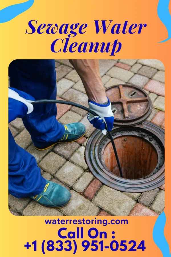 Sewage Water Cleanup in Iron Gate, VA