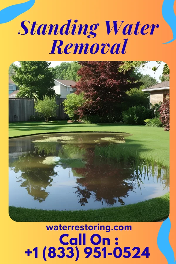 Standing Water Removal in Iron Gate, VA